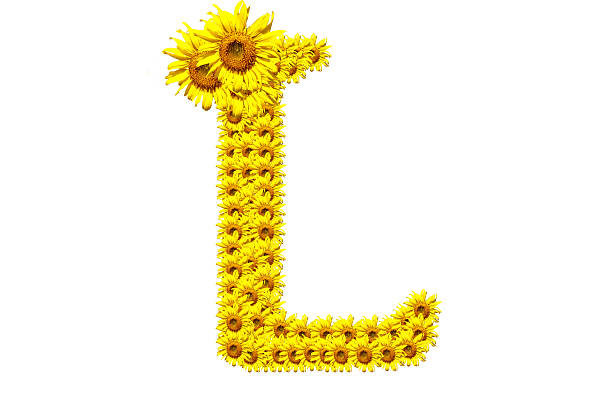 "L" sunflower alphabet stock photo