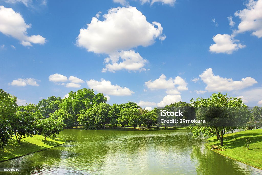 Green park outdoor with blue sky cloud Agricultural Field Stock Photo