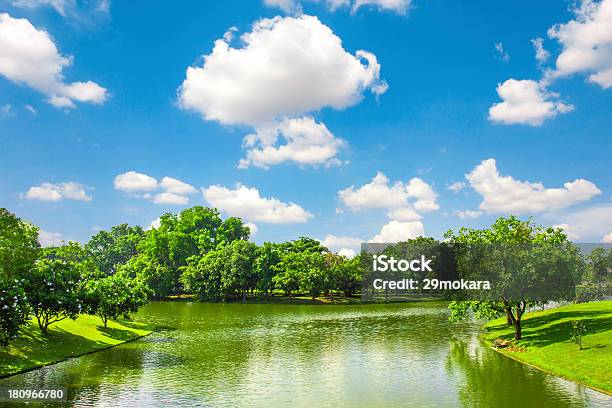 Green Park Outdoor With Blue Sky Cloud Stock Photo - Download Image Now - Agricultural Field, Backgrounds, Beauty In Nature