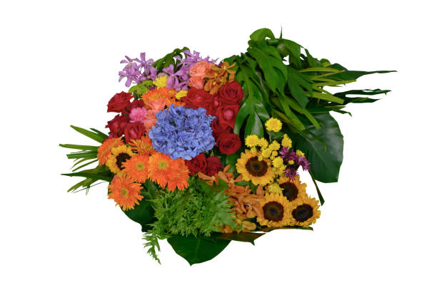 Group of various flowers and leaves with leaves isolated on white background. Creative ideas of spring flowers for weddings and love