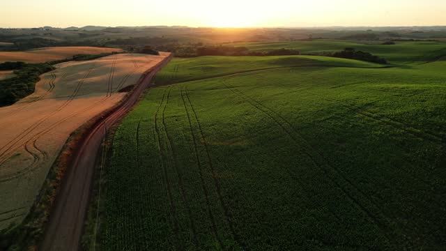 Aerial view of sunset over large cultivated area