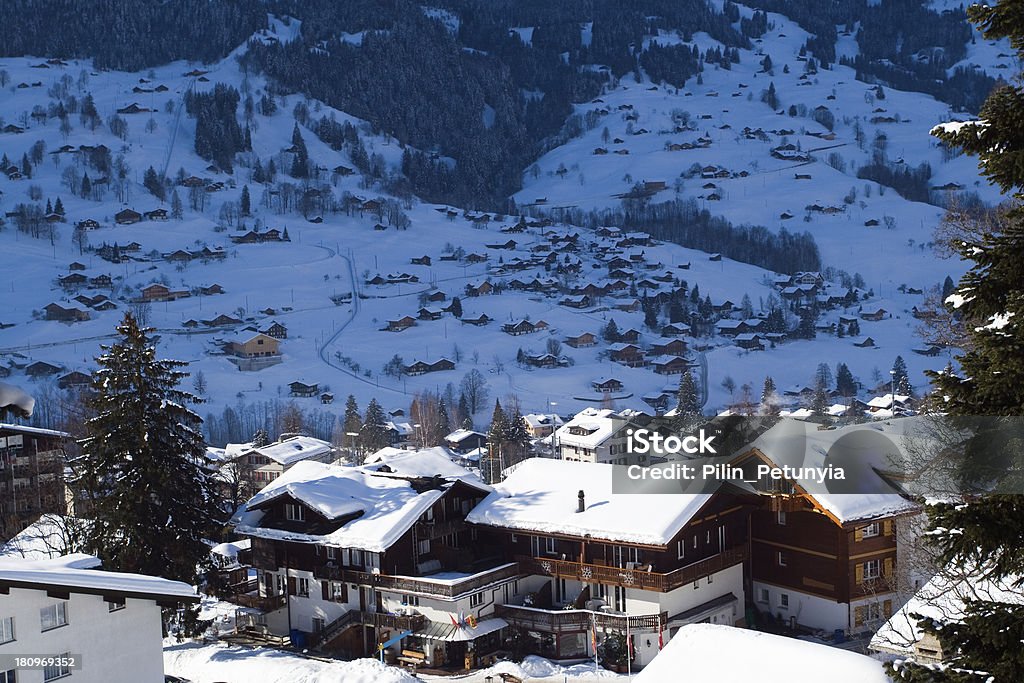 Niektóre hotele w pobliżu Grindelwald Powierzchnia Narty - Zbiór zdjęć royalty-free (Alpy)