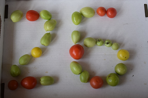 tomatoes place in number form for the new garden year
