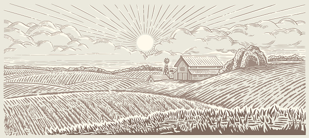Rural, morning landscape with a farm. Vector illustration in engraving style.