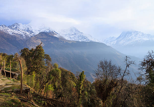 Tadapani village,Nepal scenery view of Himalayas range view from Tadapani village Nepal Langza & Hikkim: stock pictures, royalty-free photos & images