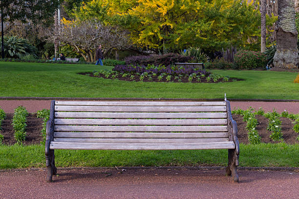 Park bench Park bench in Albert Park, Auckland, New Zealand albert park stock pictures, royalty-free photos & images