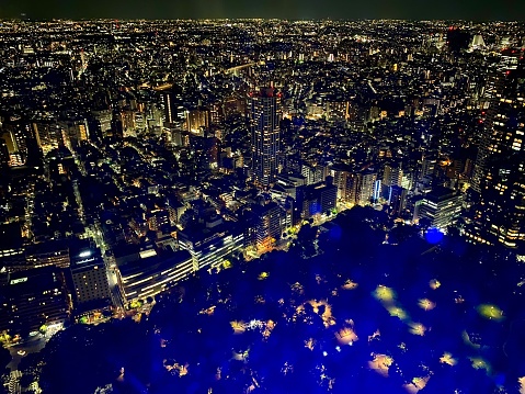 Japan - Tokyo - view of the megapolis of Tokyo from Shinjuku district