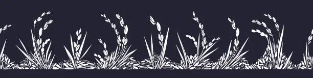 Vector illustration of White rice grain. Vector field Seamless art border