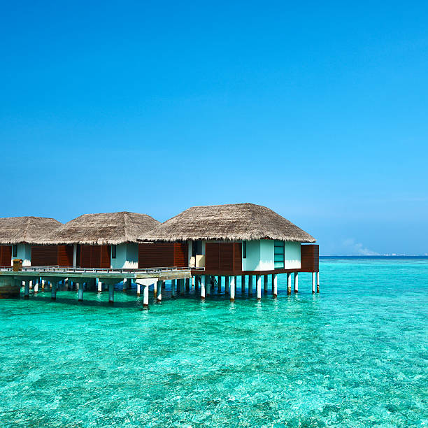 istock Beautiful beach with water bungalows 180975179