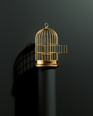 Birdcage sitting on black podium before black background. Horizontal composition with copy space.
