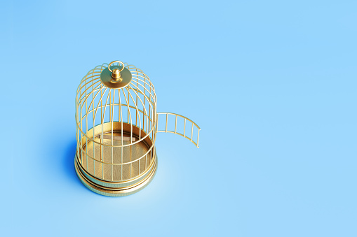 Birdcage sitting on blue background. Horizontal composition with copy space.