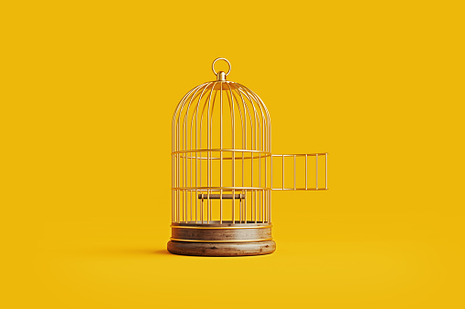 Birdcage sitting on yellow background. Horizontal composition with copy space.