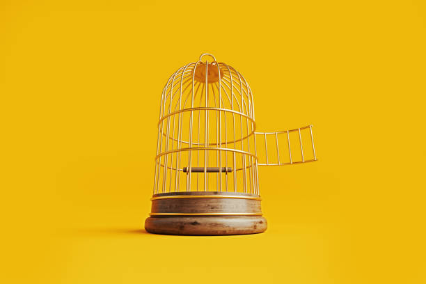 istock Birdcage Sitting On Yellow Background 1809756618