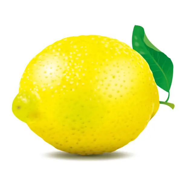 Vector illustration of Lemon with Leaf