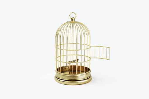 realistic 3d render of bird cages