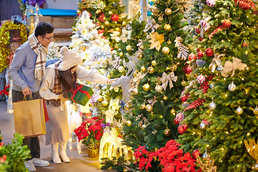One asia couple shopping christmas tree at christmas market.