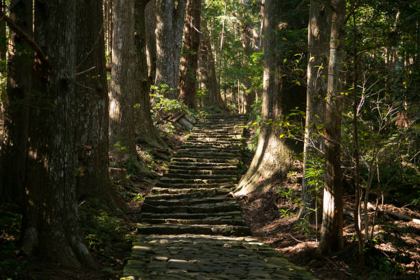 sezione del leggendario percorso kumano kodo lungo ciottoli di pietra a wakayama, giappone. - kii foto e immagini stock