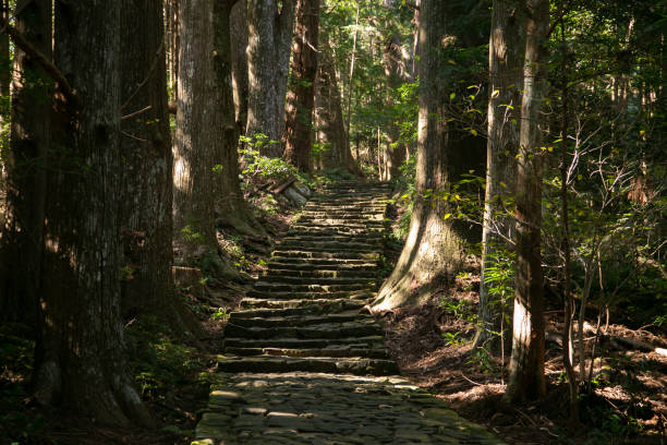участок легендарного маршрута кумано кодо по каменным булыжникам в вакаяме, япония. - kii стоковые фото и изображения