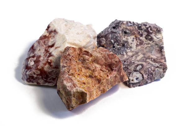 istock Pelitic Schist Rock isolated on White Background 1809766946