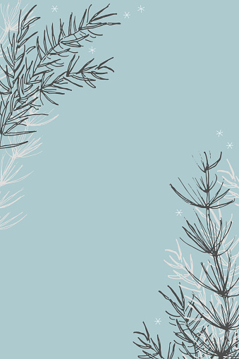 Vertical Background with fir branches for text, hand drawn vector illustration boho ornament. Backdrop with plants festive motive for congratulations Winter holidays, New Year, Christmas for card, web, poster, paper, print, template