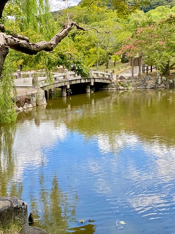 Japan - Kyoto - Maruyama Park