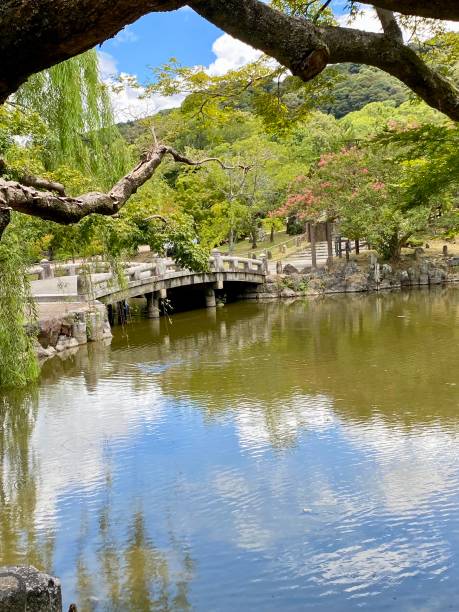 istock Japan - Kyoto - Maruyama Park 1809773112