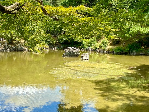 Detail from a rock garden (also called a Zen Garden) at theTofuku-ji temple in Kyoto, Japan.