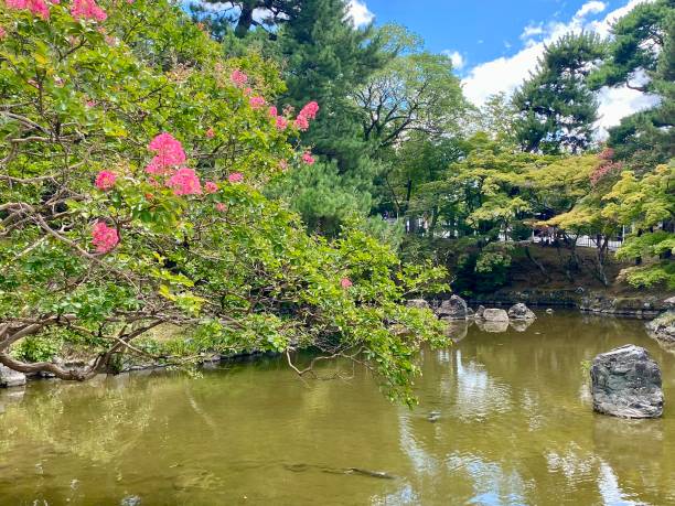 istock Japan - Kyoto - Maruyama Park 1809774100