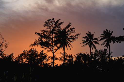 The sun sets behind some palm trees on the Costa Esmeralda, in Veracruz.