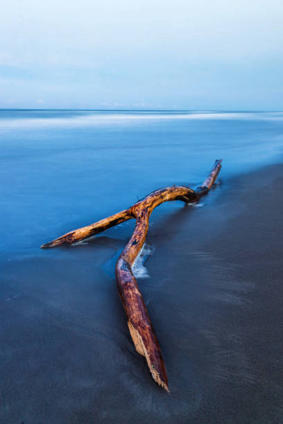 istock Log thrown onto the beach at twilight 1809787847