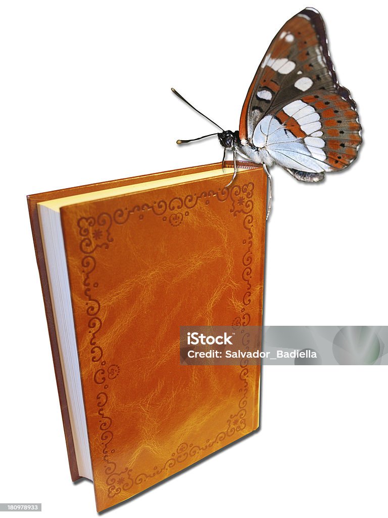 Libro con mariposa - Foto de stock de Libro libre de derechos