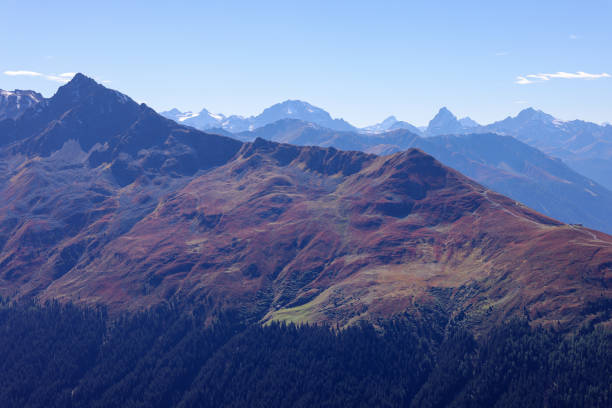 swiss mountain side colored red by blueberry bushes