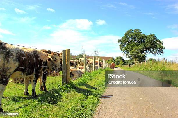 County Road - Horizonのストックフォトや画像を多数ご用意 - Horizon, イギリス, イングランド