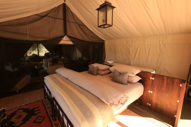 istock inside of an african luxury tent in Botswana 1809820437