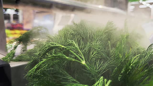 fresh herbs in the store. Maintains optimal humidity levels for food on the counter