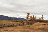 Wooden fence on the autumn meadow in the Altai mountains.