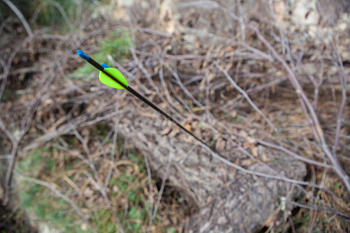 Sports arrow stuck in a log. Focus on straight parabolic fletchings