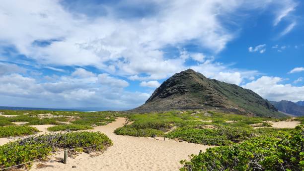 istock Beautiful sandy tropical beach under cloudy blue sky with mountain at the background on Oahu island Hawaii 1809892055