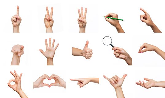 Collection of hands showing gestures such as ok, peace, heart shape, thumb up, point to object, shaka, holding magnifying glass, writing isolated on a white background. Creative collage. Modern design