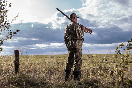 Hunter with a gun on his shoulder against the background of the field. Hunting for wild animals