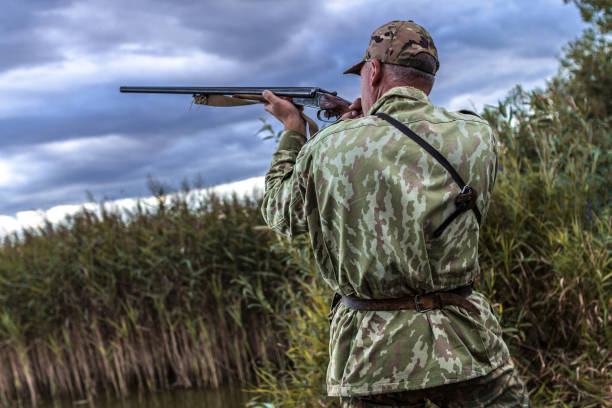 istock Hunting in the lake on wild ducks 1809918530