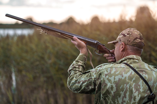 Hunting of wild ducks. Hunter wearing camouflage uniform with a hunting rifle