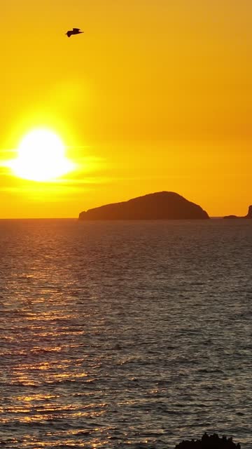 Incredible sunset on the coast of Ibiza. Vertical video Cala Comte beach