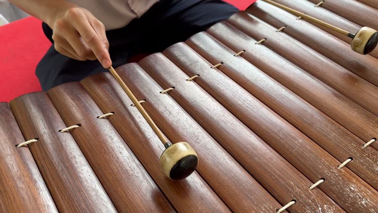 Man Playing Xylophone