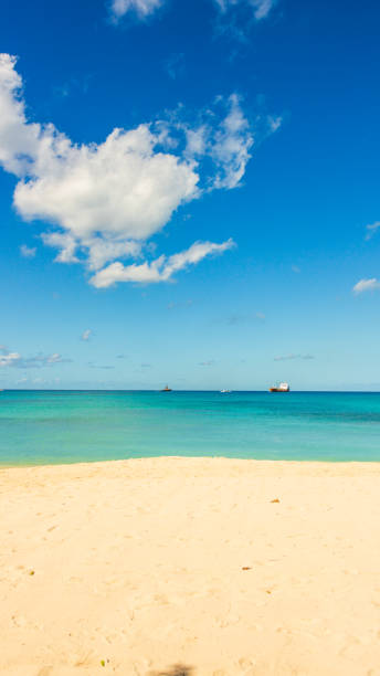 istock Barbados Island's Sandy Paradise Beach, Caribbean Island 1809972850