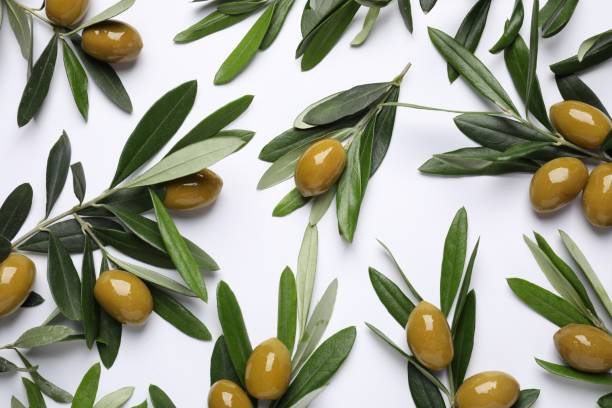 istock Twigs with olives and fresh green leaves on white background, flat lay 1809977982