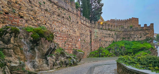 istock Medieval town street 1809983524