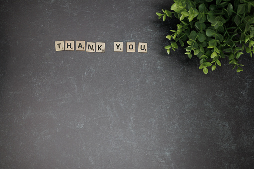 Thank you wooden tiles on a desk with a green plant.