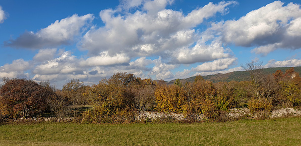 Primorska landscape, autumn colors, in front view meadow and old dry stone wall,  karst feature,.