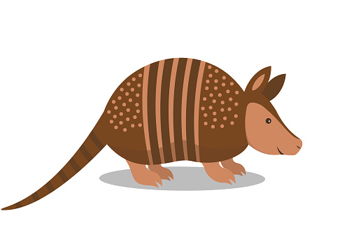 Cartoon armadillo design vector flat modern isolated illustration